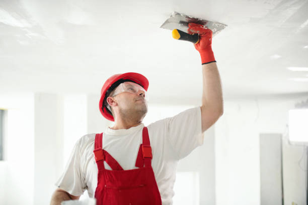 Best Ceiling Drywall Installation  in Chandler, TX